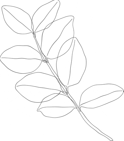 sedanuralacam giphygifmaker plant lineart GIF