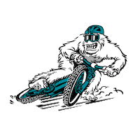 360 Mtb Sticker by Yeti Cycles