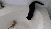 GIF by Demic