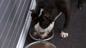 project ruwnay GIF by Lifetime