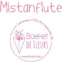 boeketdefleurs local bouquet brussels fleurs Sticker