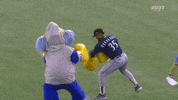 Fight Knockout GIF by ROOT SPORTS NW