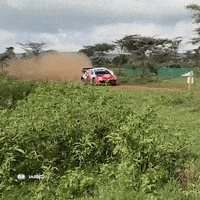 Drifting GIF by FIA World Rally Championship