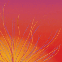 Loop Peace GIF