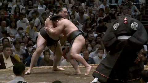 TZ85 giphyupload sumo 2023 aki basho midorifuji GIF