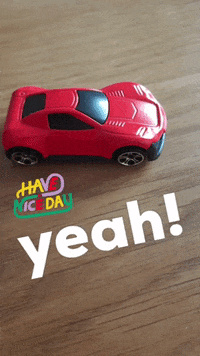 verkeersschoolkoelewijn  GIF