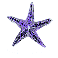 Mermaid Estreladomar Sticker by Izasoler