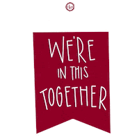 High School Flag Sticker by University of Louisiana Monroe