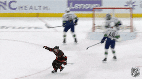 Happy Carolina Hurricanes GIF by NHL