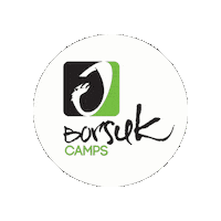 BorsukCamps wave kids skate surf Sticker