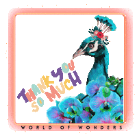 Peacock Sticker by THE SKATESIDE