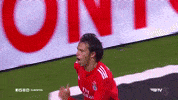 sliding sl benfica GIF by Sport Lisboa e Benfica