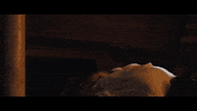 in hearts wake ark GIF by unfdcentral