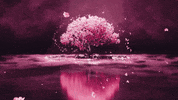Wallpaper GIF