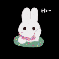Bunny Rabbit GIF