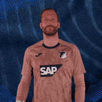 Sport Bundesliga GIF by TSG Hoffenheim
