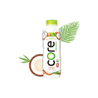 water watermelon Sticker