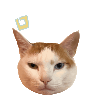 防疫 Sticker