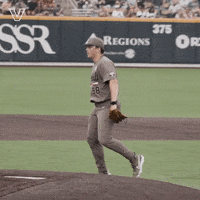 College World Series Sport GIF by Vanderbilt Athletics