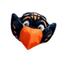 utmartin utm skyhawks ut martin university of tennessee at martin Sticker