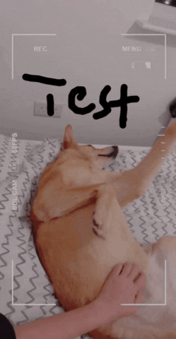 Animated GIF