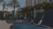 Hgv GIF by Switzerfilm
