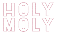 HolyMolyCreativeStudio holymoly holymolycreativestudio Sticker