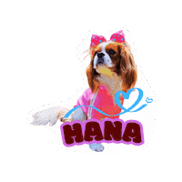 Dog Sticker
