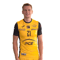 Belchatow Sticker by PGE Skra Bełchatów