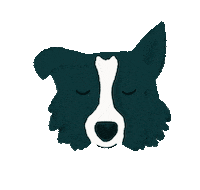 Dog Border Sticker