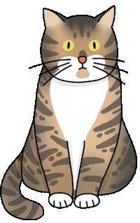 Cat Wow Sticker by Idil Keysan
