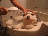 bath bathing GIF