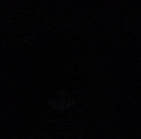 Bangladesh Bangla GIF