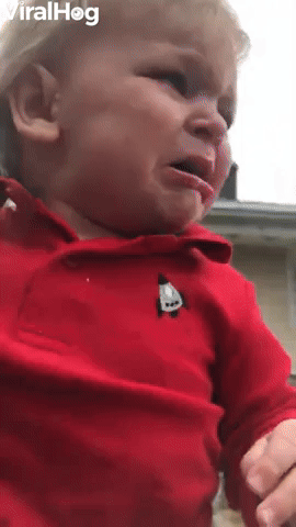 Excited Dog Knocks Kid Into Dirt