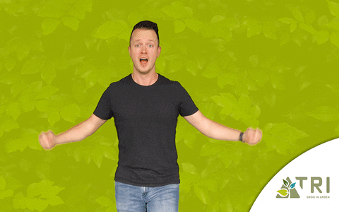 Boom Plant GIF by TRI Groei in Groen