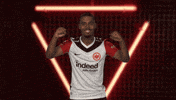 Eintracht Frankfurt Yes GIF by Bundesliga