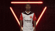 Eintracht Frankfurt Hello GIF by Bundesliga