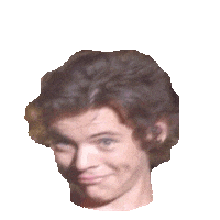 Harry Styles 1D Sticker by imoji