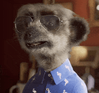 Ohno No GIF by Compare the Market