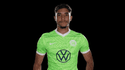 Football Love GIF by VfL Wolfsburg