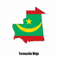 Flag Bandera GIF by Formación Ninja