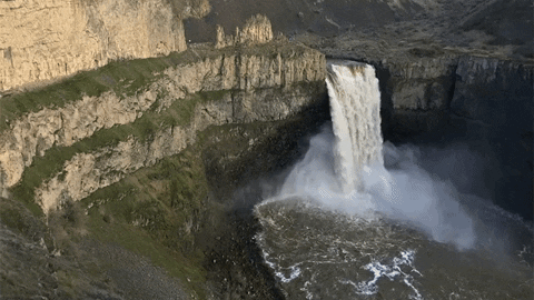 kOTTR giphyupload GIF