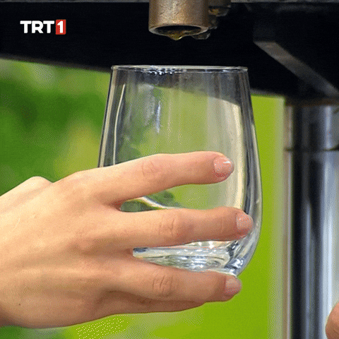 Give Me Want GIF by TRT