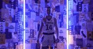 Basketball Anteaters GIF by UCI Athletics