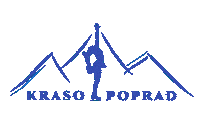 Ice Skating Sticker by IceCrew