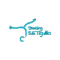 Skating Sticker by Ginnastica Tigullio