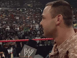 santino marella wrestling GIF by WWE