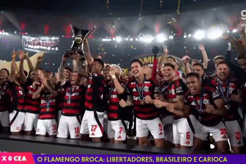 Flamengo Edite GIF