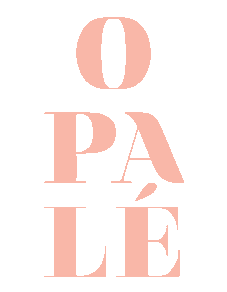 PlayasdeVenezuela giphyupload trajedebano opale opalebeachwear Sticker