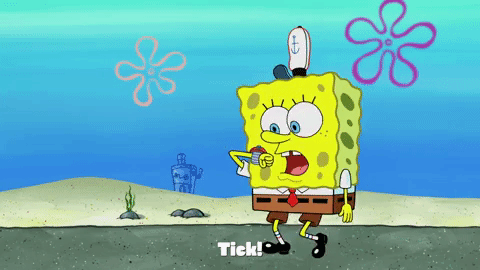 season 9 lost in bikini bottom GIF by SpongeBob SquarePants